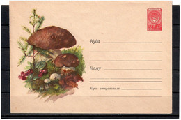 Russia & USSR 1960 . Mushrooms.Mail Envelope. - Nuevos