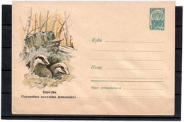 Russia & USSR 1960 . Mushrooms , Badgers . Mail Envelope. - Ongebruikt