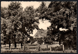 D3134 - Dierhagen - Verlag Heldge - Fischland/Darss