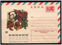 Russia & USSR 1971. Mushrooms . Mail Envelope. - Ungebraucht