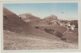 Arpajon -Vue Générale - Vaches  (E.7797) - Arpajon Sur Cere