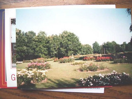 Nederland Holland Pays Bas Winschoten Met Rosarium Foto - Winschoten