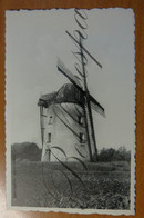 Stambruges  Moulin A Vent Windmolen. Colmant - Beloeil