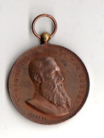 Médaille Léopold II - Société D’agriculture Du Condroz à Marchin 1901 Par Fisch & Cie  Cinquantenaire De La Société 1901 - Other