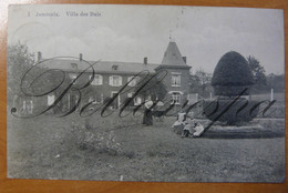 Jamioulx Villa Des Buis.  N°1 // 1913 Relais-Etoille Sterstempel - Ham-sur-Heure-Nalinnes