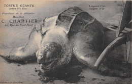 PARIS-75001- TORTUE GEANTE- PESANT 350 KILOS, PROPRIETAIRE DE CE PHENOMENE , BOUILLON C. CHARTIER 21 RUE DU PONT NEUF - Paris (01)