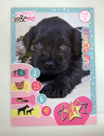 Puppies & Me! Panini  N. 34 Card - Andere & Zonder Classificatie