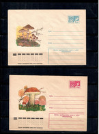 Russia & USSR 1975 . Mushrooms .  2 Mail Envelope. - Ungebraucht