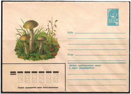 Russia & USSR 1979 . Mushrooms .  Mail Envelope. - Nuevos