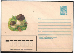 Russia & USSR 1979 . Mushrooms .  Mail Envelope. - Unused Stamps