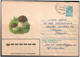 Russia & USSR 1979 . Mushrooms .  Mail Envelope.  (oo) - Nuovi