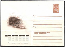 Russia & USSR 1979 . Mushrooms , Hedgehog .  Mail Envelope. - Nuovi