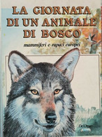 La Giornata Di Un Animale Nel Bosco: Mammiferi E Rapaci Europei (1991) - ER - Enfants Et Adolescents