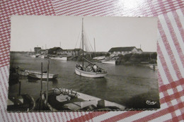 Delcampe - D 17 - La Tremblade - Le Chenal - La Tremblade