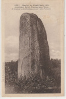 DEPT 22 : édit. E Hamonic N° 6587 : Menhir De Coat Castel Dominant Saint Nicolas Du Pélem - Saint-Nicolas-du-Pélem