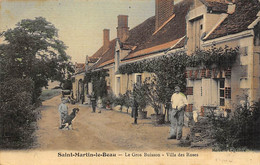 Saint-Martin-le-Beau        37        Le Gros Buisson. Villa Des Roses   . Colorisée Et Toilée        (voir Scan) - Autres & Non Classés