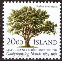 Iceland, 1985, 100 Years Of The Islandic Horticultural Society, 20 Kr, MNH** - Ungebraucht