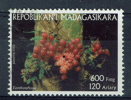 Madagascar, 600FMG, Fleur Tropicale, Tambourissa, 2003, Obl, TB - Madagascar (1960-...)