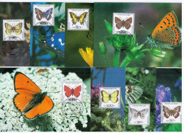 Germany Deutschland 1991 Maximum Cards Set X8, Fur Die Jugend, Butterfly Butterflies Papillon Papillons, Bonn - 1981-2000