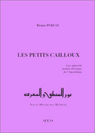 Les Petits Cailloux Une Approche Modèle-théorique De L'Algorithmie Par Bruno Poizat - Sciences