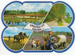 Groeten Uit Holten (OV.)  - (Nederland / Holland) - Ram, Paarden, Hond, Schapen - Nr. L 4394S - Holten