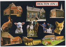 Holten (OV.) - Haas, Lam, Vos, Paarden, Koeien, Boerderij, Kerk Etc. - (Nederland / Holland) - Nr. HON 8 - Holten