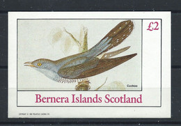 Bernera (Écosse) 1 Tp Neuf ** (MNH) 1982 N. Dentelé - Oiseaux "Coucou" - Catalogue CD Phillips British Locals - Cuckoos & Turacos