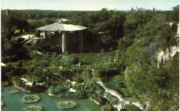 Carte POSTALE  Ancienne  De  SAN ANTONIO - Chinese Sunken Garden - San Antonio