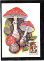 Russia & USSR 1986 . Mushrooms. 5 Maximum Card. - Unused Stamps