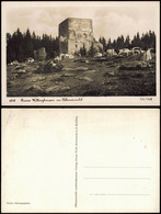 Vorder Heuraffl (Krumau) Přední Výtoň Ruine Wittinghausen Im Böhmerwald 1938 - Tchéquie