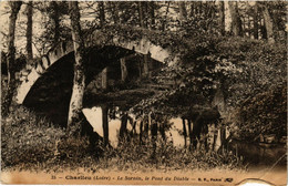 CPA CHARLIEU - Le Sornin Le Pont Du Diable (359831) - Charlieu