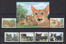 Congo Republic - 1999 - Domestic Animals - Cats/Chats - Minisheet + Stamps 6v - MNH** - Superb*** - Collezioni