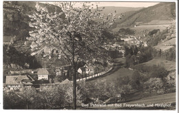 Bad Peterstal Mit Bad Freyersbach Und Hirzighof V. 1956 (53608) - Bad Peterstal-Griesbach