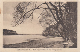 A115) ALT BUCHHORST I. M. - Möllensee Partie Bei Der Spiegelquelle ALT !! 08.02.1926 - Grünheide