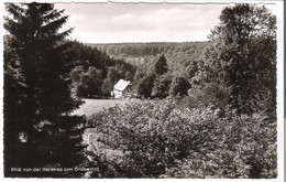 Hoheleye (Hochsauerland) - Blick Von Der Veranda Zum Graberhof  V. 1950 (53612) - Winterberg