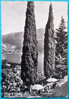 Riva Dalla Maddalena -'Lago Di Garda - Olbia