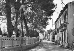 BALARUC LES BAINS AVENUE DU PARC - Autres & Non Classés