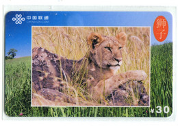 Télécarte China Unicom : Lion(s) - Jungle