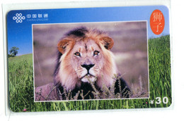 Télécarte China Unicom : Lion(s) - Oerwoud