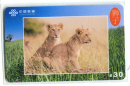 Télécarte China Unicom : Lion(s) - Jungle