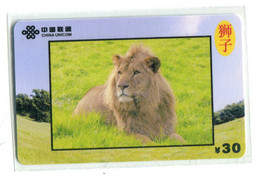 Télécarte China Unicom : Lion(s) - Jungle