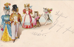 AK Katzen In Kostümen - Künstlerkarte - Ca. 1900 (57768) - Dressed Animals