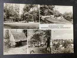 Querfurt Ziegelrodaerforst/ Mehrbild Tierpark Hermannseck - Querfurt