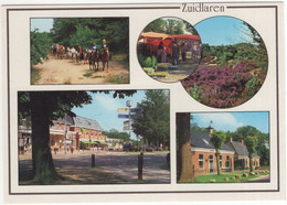 Zuidlaren - Hotel, Heide, Ruiters, Markt Etc- (Nederland / Holland) - ZUN 8 - Zuidlaren