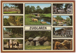 Zuidlaren - Hunebed, Pony, Ruiters, Schapen, Havezate, Bos, Molen Etc- (Nederland / Holland) - ZUN 7 - Zuidlaren
