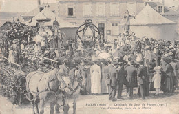 Palis - Cavalcade Du Jour De Pâques - Vue D'ensemble, Place De La Mairie - 1911 - Andere Gemeenten