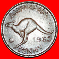 * PERTH (1955-1964): AUSTRALIA ★ 1 PENNY 1960! KANGAROO LEFT!  LOW START ★ NO RESERVE! - Penny