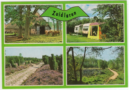 Zuidlaren - Bos En Heide, Boerderij, Camping, Caravans  - (Nederland / Holland) - Nr. 762 - Zuidlaren