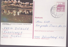 Duitsland, Postcard, Birds - Postcards - Used