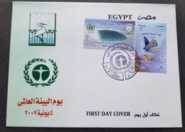 Egypt World Environment Day 2007 Butterfly Melting Ice Insect Butterflies (stamp FDC) - Storia Postale